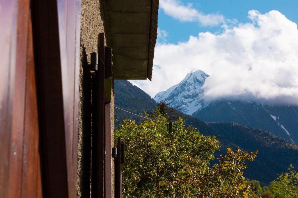 Maison Avec Vue Sur La Montagne Les Circaetes Hébergement de vacances *